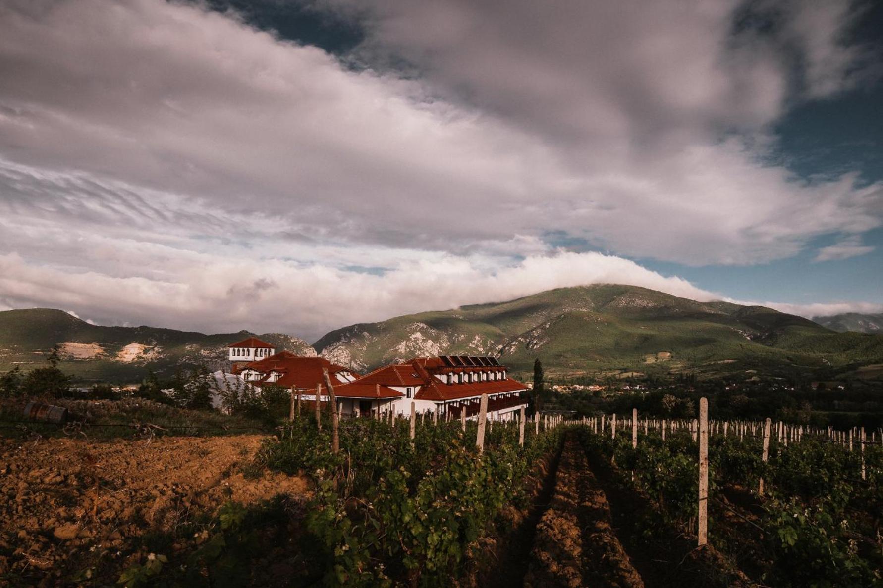 Popova Kula Hotel & Winery Demir Kapija Zewnętrze zdjęcie